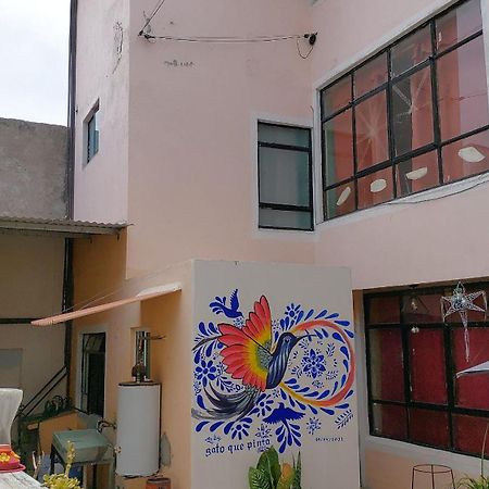 Casa El Colibri Cec Villa Tehuacán Exteriör bild