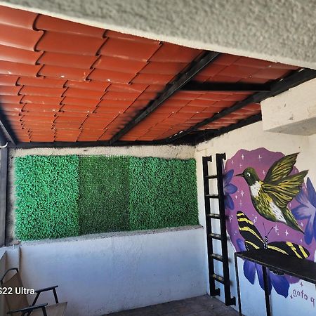 Casa El Colibri Cec Villa Tehuacán Exteriör bild